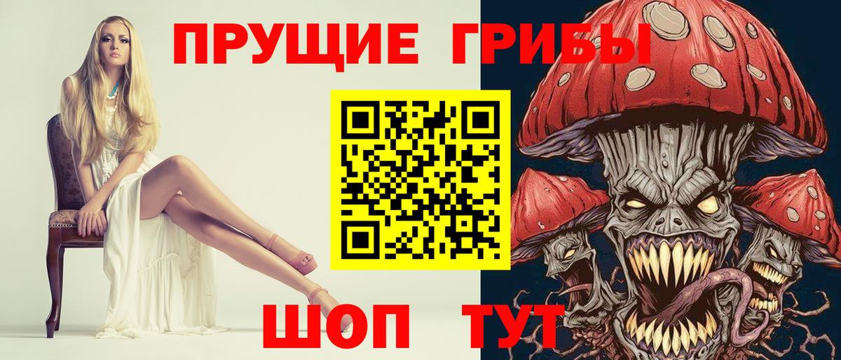 Псилоцибиновые грибы Cubensis Сатка