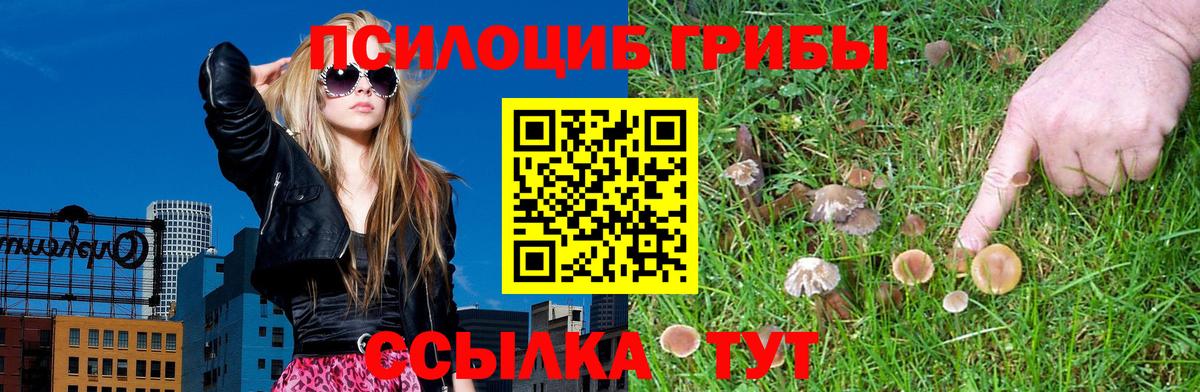 где продают наркотики  Галлюциногенные грибы мицелий  Вход с VPN  Сатка 