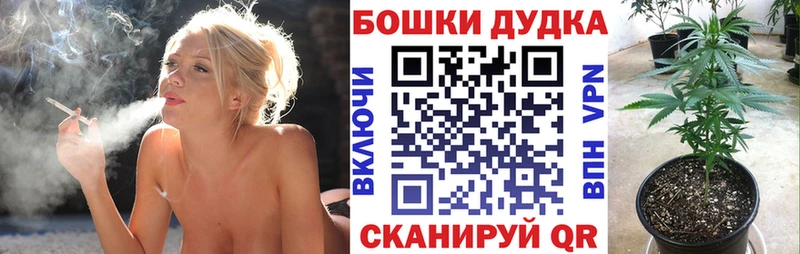 Каннабис Amnesia  купить  цена  сайты даркнета официальный сайт  Сатка 
